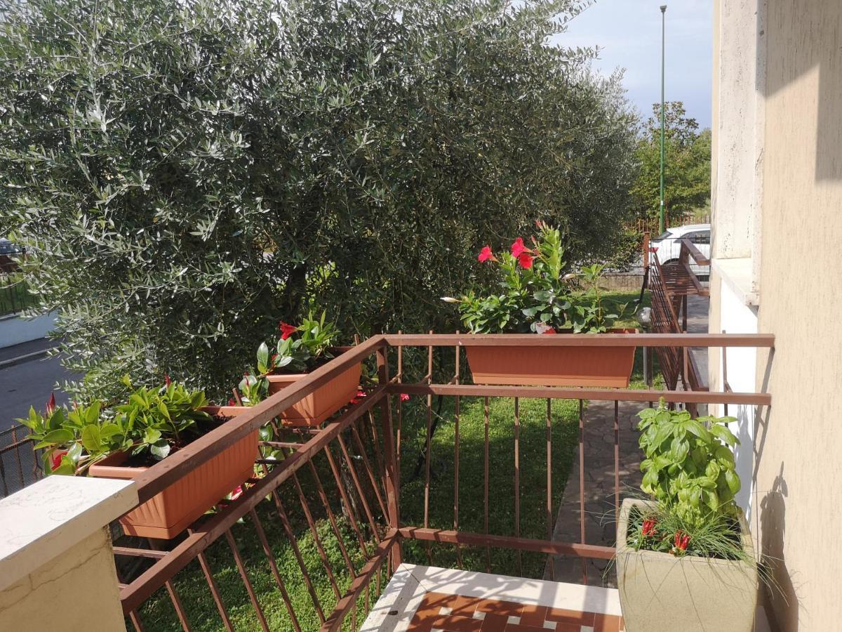 Ai Quattro Ulivi Daire Peschiera del Garda Dış mekan fotoğraf