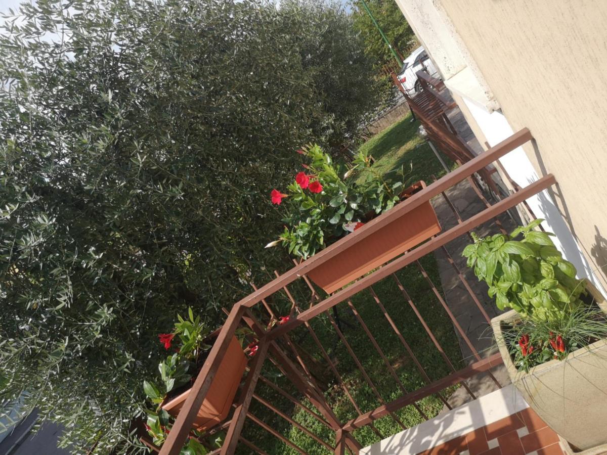 Ai Quattro Ulivi Daire Peschiera del Garda Dış mekan fotoğraf